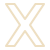 Icone X